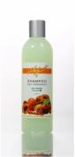 Holy Fruit Шампунь против перхоти - Shampoo Anti-Dandruff,  300 мл., «N. S. P. Natural Skin Products LTD», Израиль